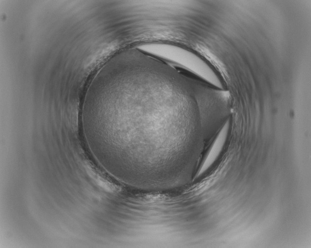 X0000088750493200706141732