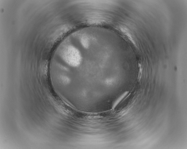 X0000088750495200706141732