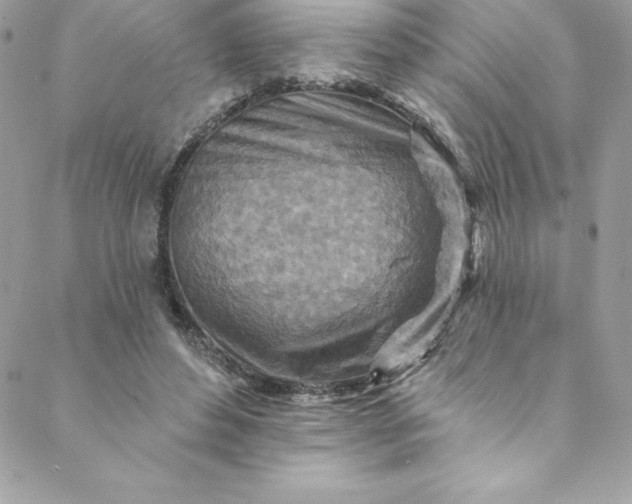 X0000088750496200706141732