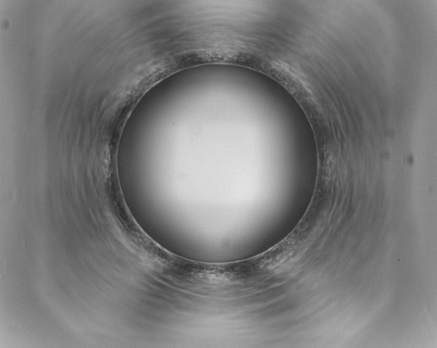 X0000088750498200706141732