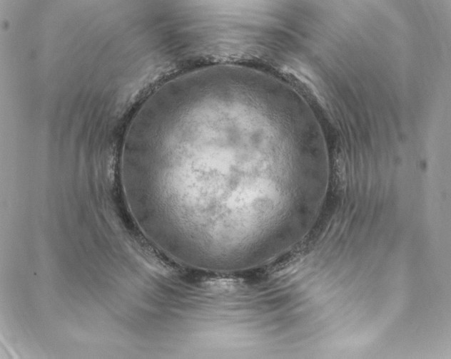 X0000088750499200706141732