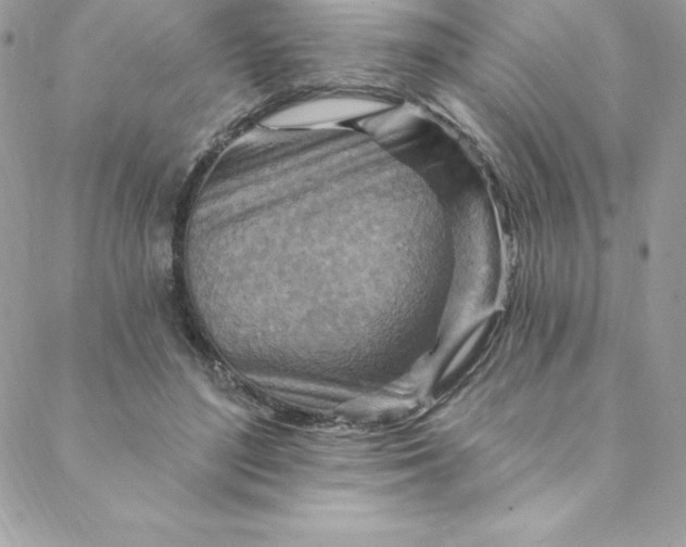 X0000088750500200706141732