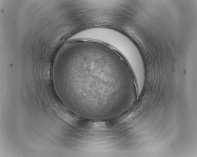 X0000088750501200706141732