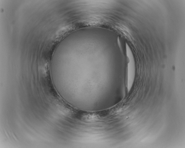 X0000088750503200706141731