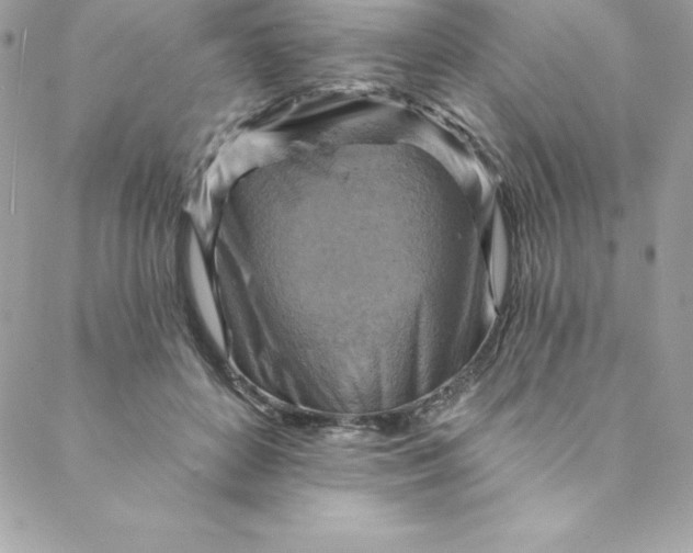 X0000088750504200706141731