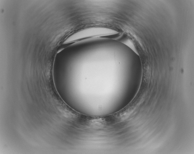 X0000088750505200706141731