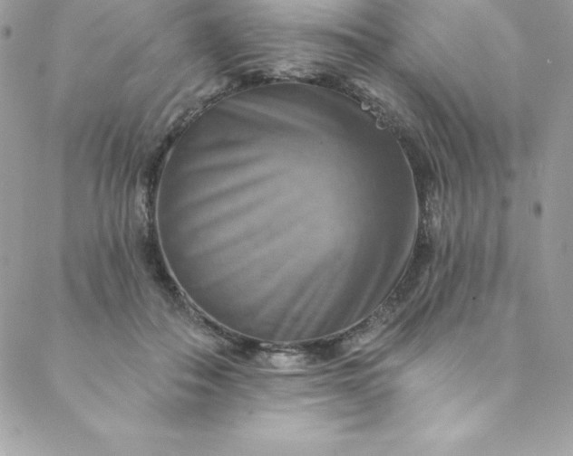 X0000088750506200706141731