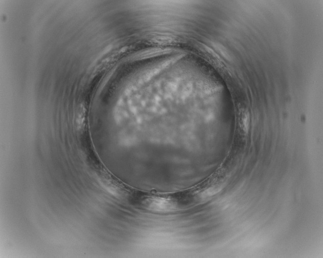 X0000088750507200706141731