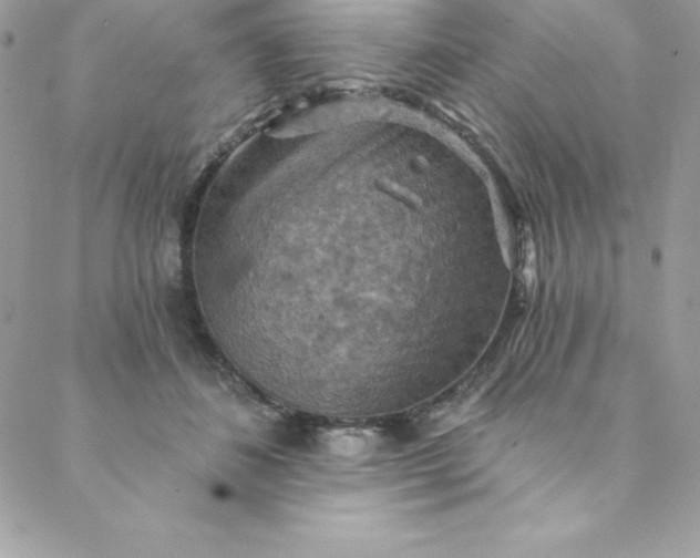 X0000088750508200706141731