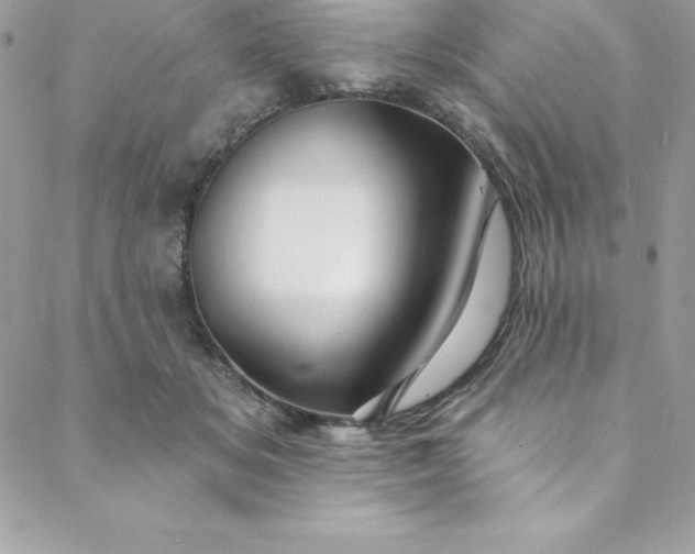 X0000088750509200706141731