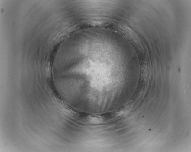 X0000088750510200706141731