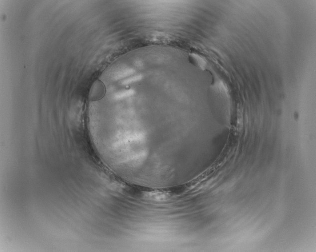 X0000088750511200706141731