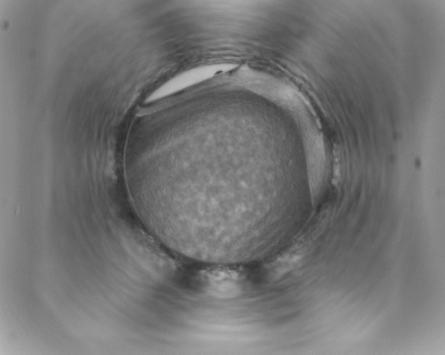 X0000088750512200706141731