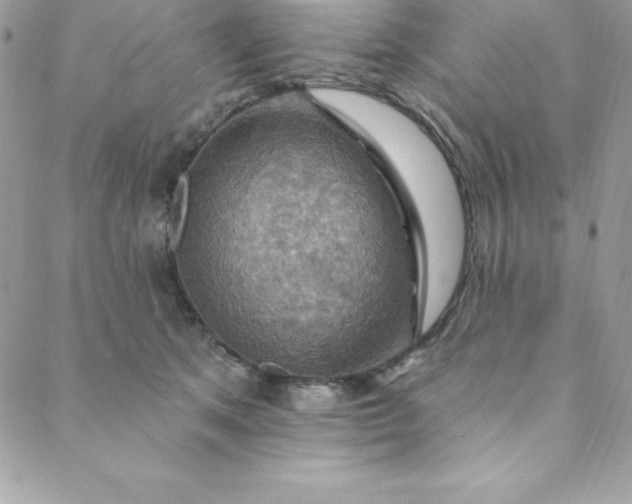 X0000088750513200706141731