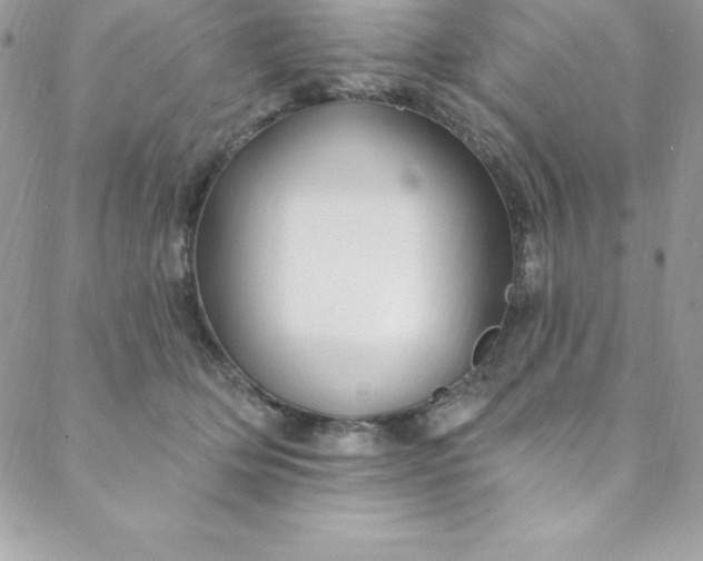 X0000088750514200706141731