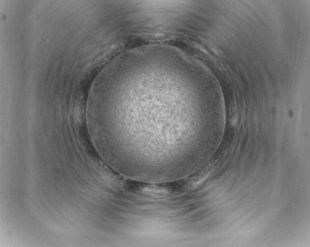 X0000088750515200706141731