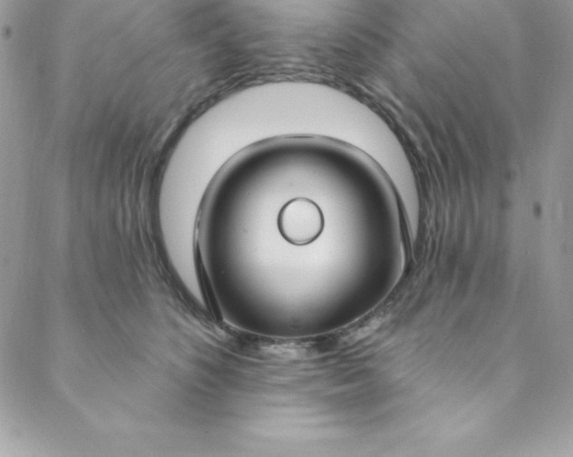 X0000088750516200706141731