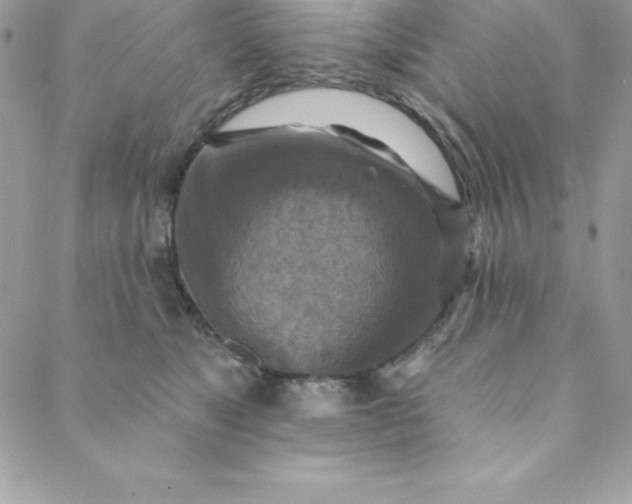 X0000088750517200706141731