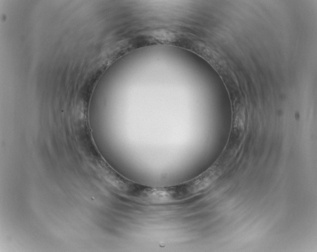 X0000088750518200706141731