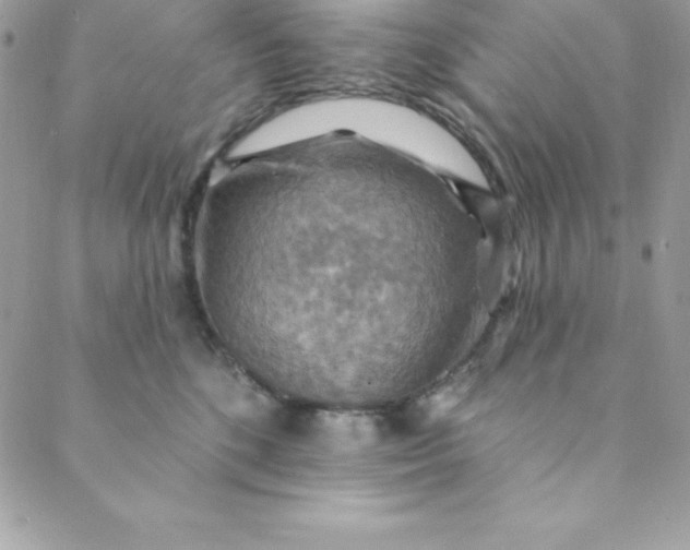 X0000088750520200706141731