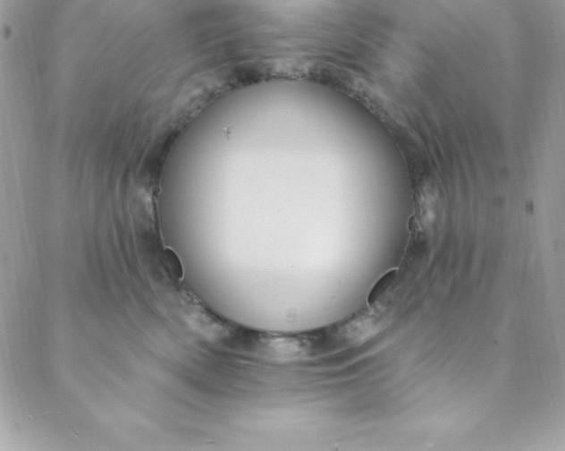 X0000088750522200706141731