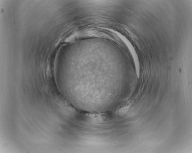 X0000088750524200706141731