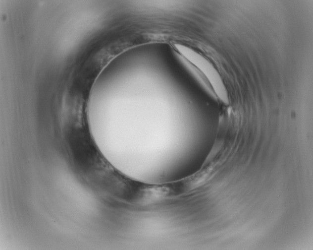 X0000088750525200706141731