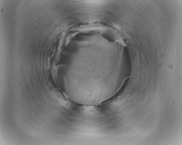 X0000088750528200706141731