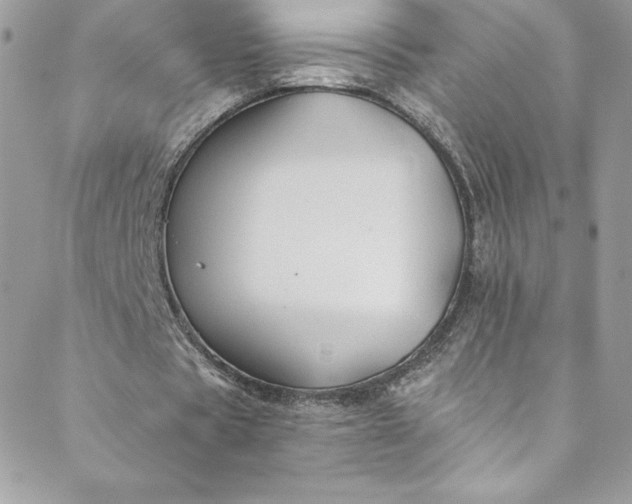 X0000088750529200706141730