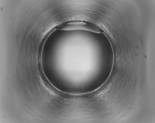 X0000088750530200706141730