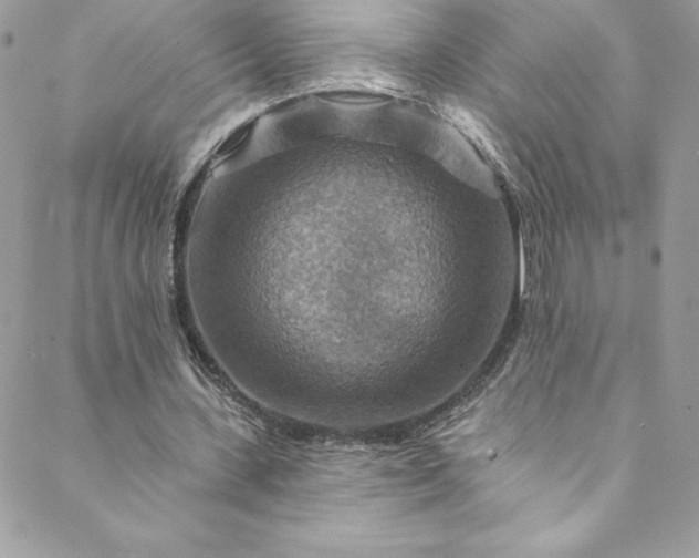 X0000088750531200706141730