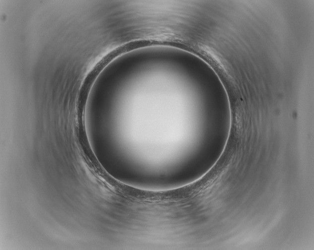 X0000088750532200706141730