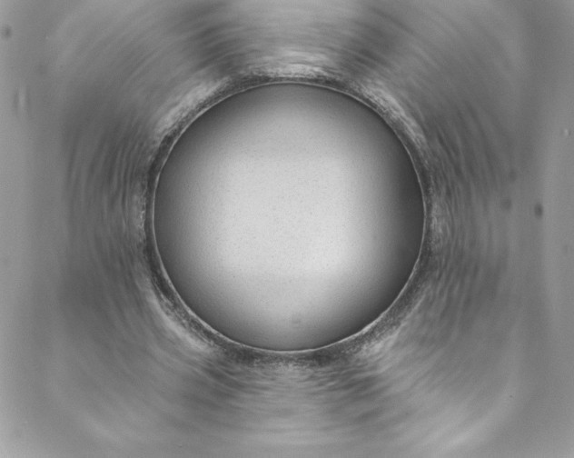 X0000088750533200706141730