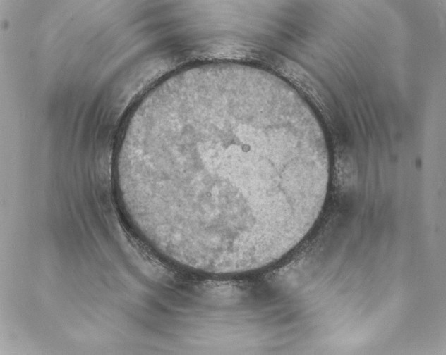 X0000088750534200706141730