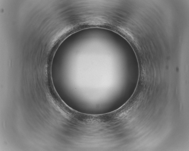 X0000088750535200706141730