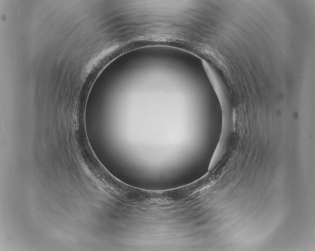 X0000088750536200706141730