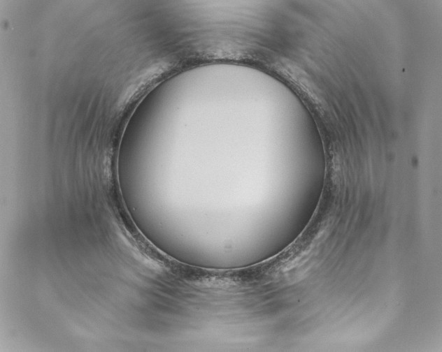 X0000088750537200706141730