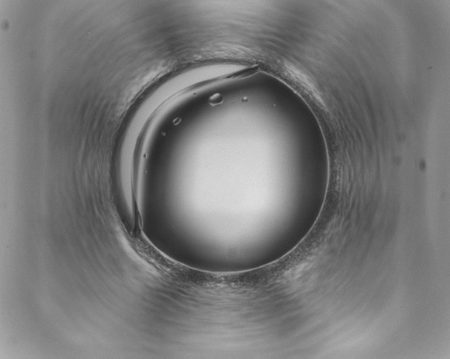 X0000088750538200706141730