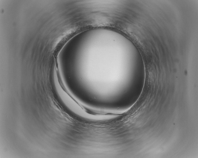 X0000088750539200706141730