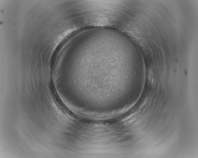 X0000088750540200706141730