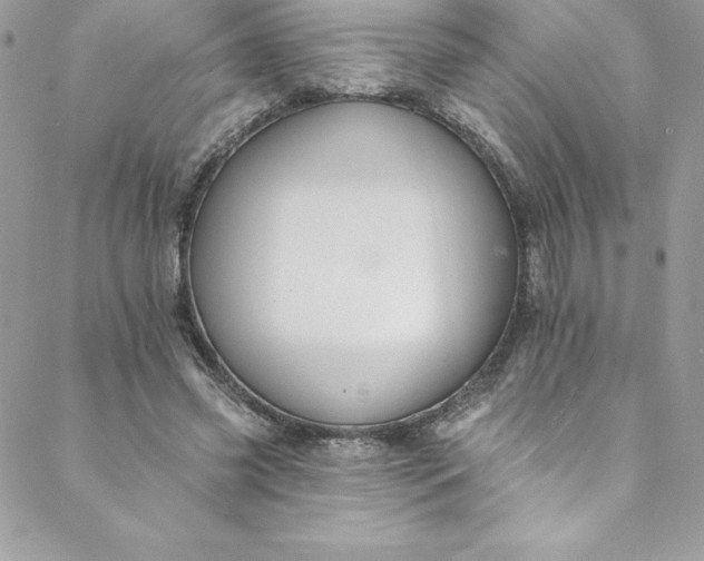 X0000088750541200706141730