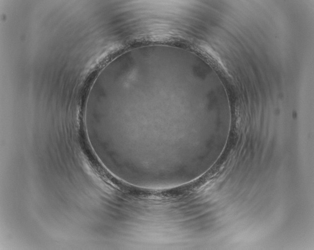 X0000088750542200706141731