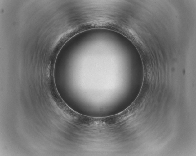 X0000088750543200706141731