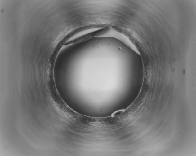 X0000088750544200706141731