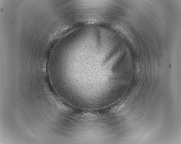 X0000088750545200706141731