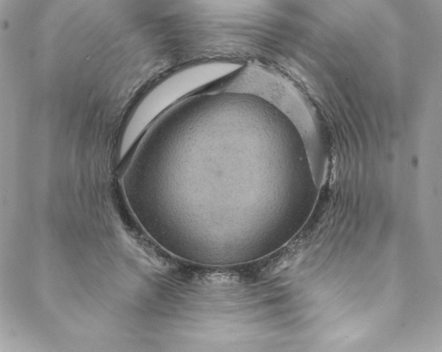 X0000088750546200706141731