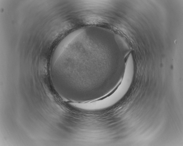 X0000088750547200706141731