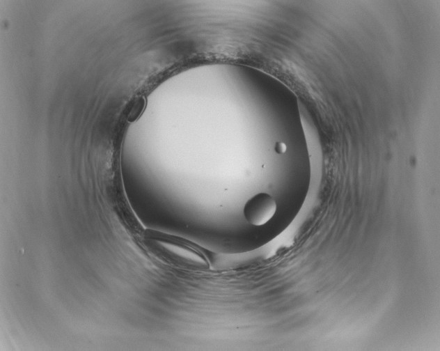 X0000088750548200706141731