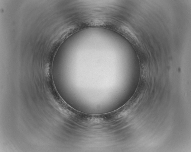 X0000088750549200706141731