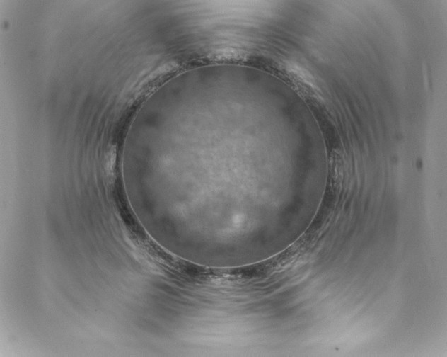 X0000088750550200706141731